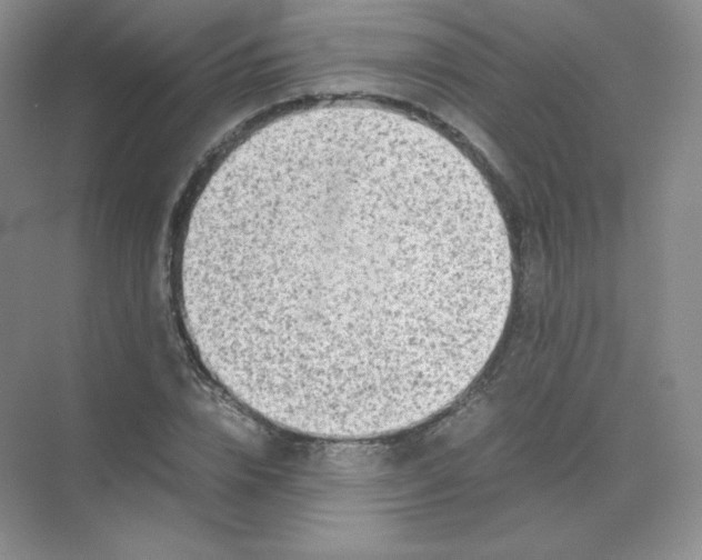 X0000071920832200607212106