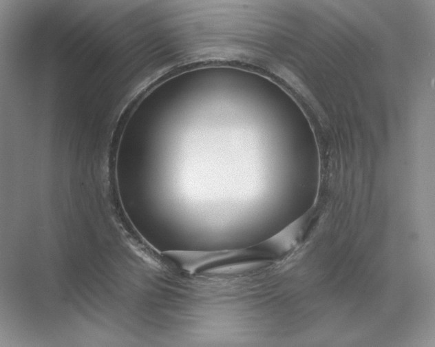 X0000071920834200607212106