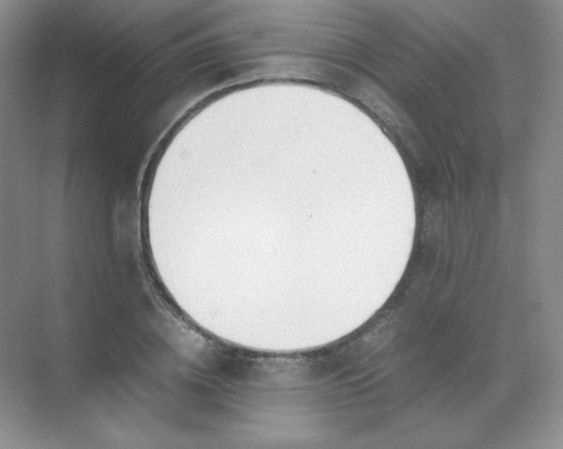 X0000071920836200607212106