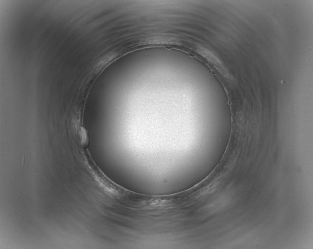 X0000071920841200607212106