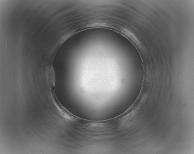 X0000071920849200607212106