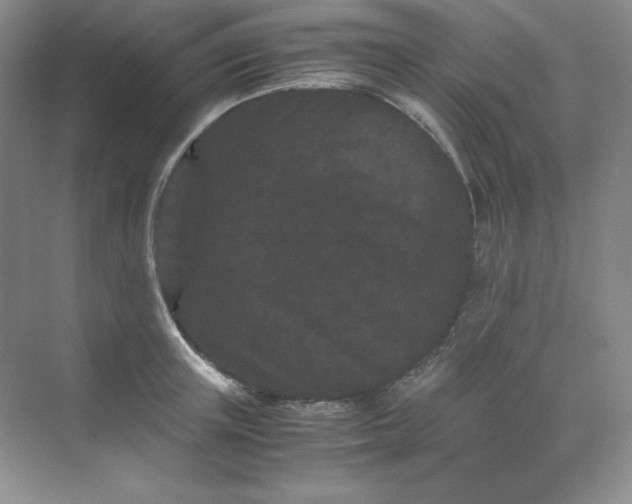 X0000071920851200607212106