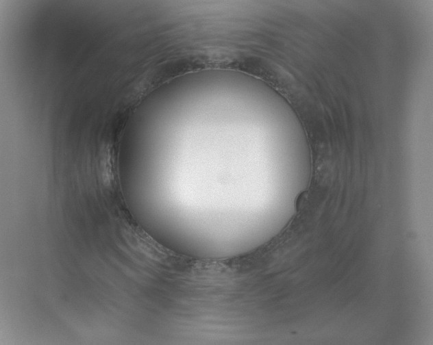 X0000071920866200607212105