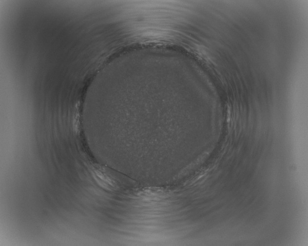 X0000071920868200607212105