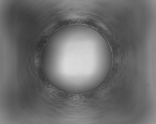 X0000071920869200607212105