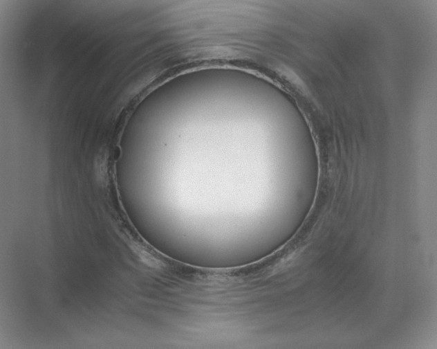 X0000071920873200607212105