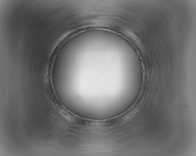 X0000071920875200607212105