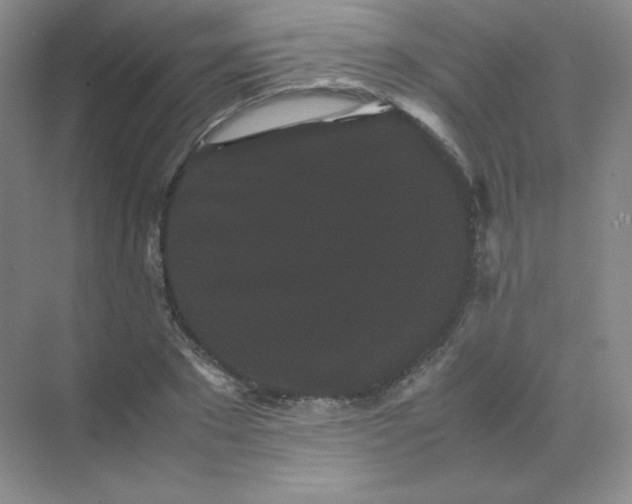 X0000071920881200607212105