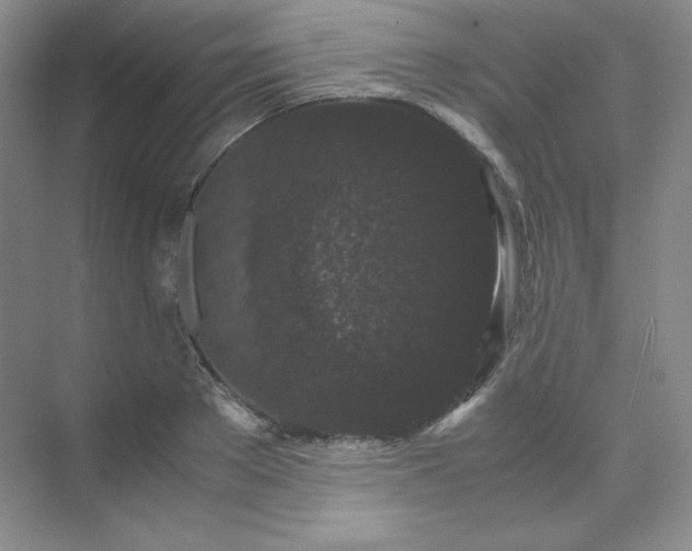 X0000071920889200607212105