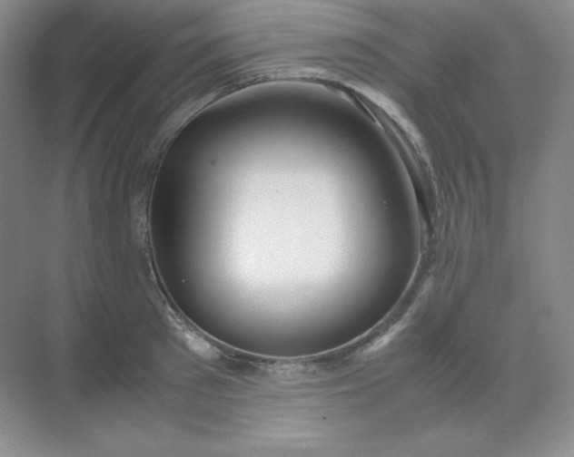 X0000071920897200607212105