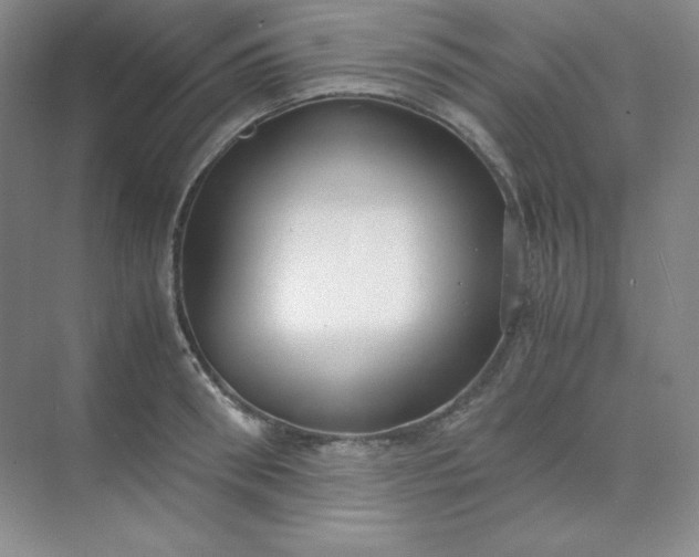 X0000071920898200607212105