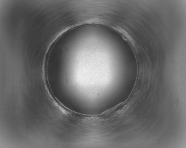 X0000071920902200607212105