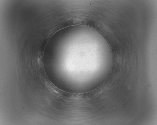 X0000071920914200607212104