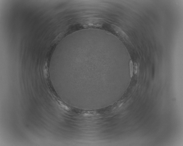 X0000071920915200607212104