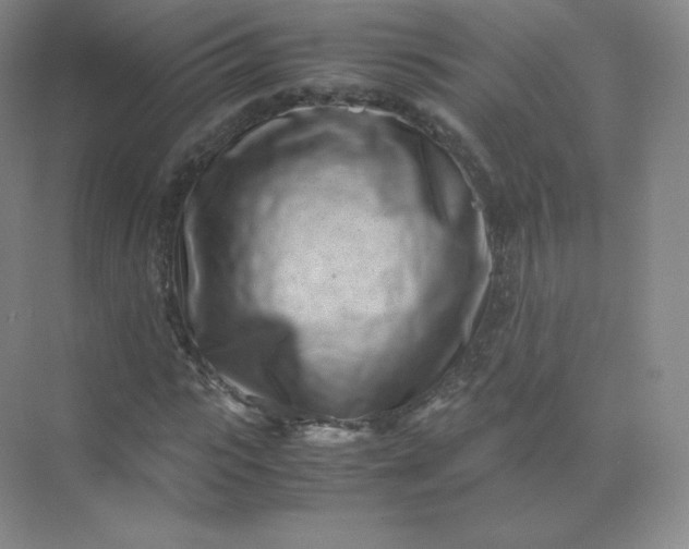 X0000071920919200607212104