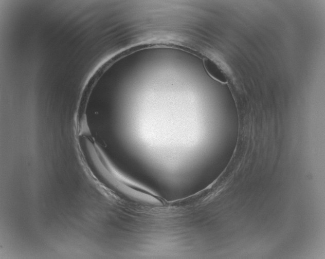 X0000071920936200607212104