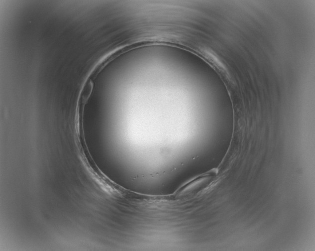 X0000071920940200607212104