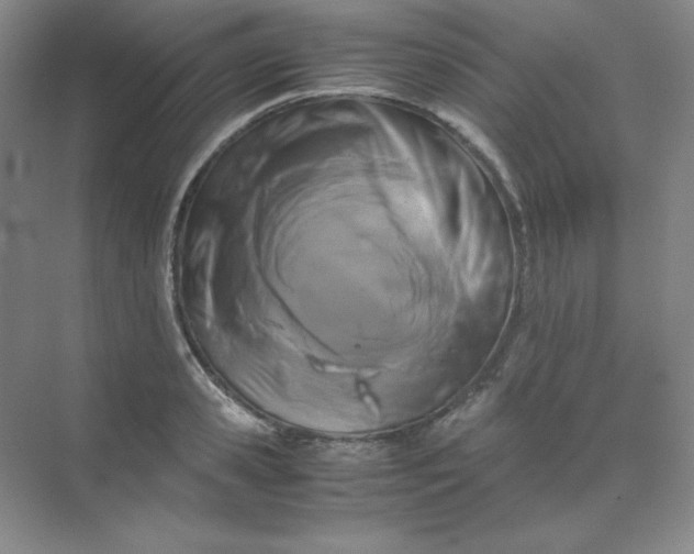 X0000071920941200607212104