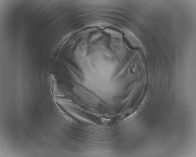 X0000071920945200607212104