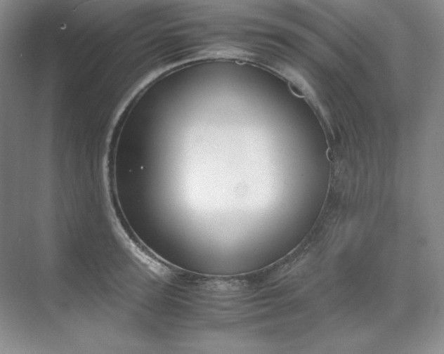 X0000071920947200607212104