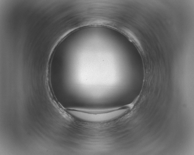 X0000071920948200607212104