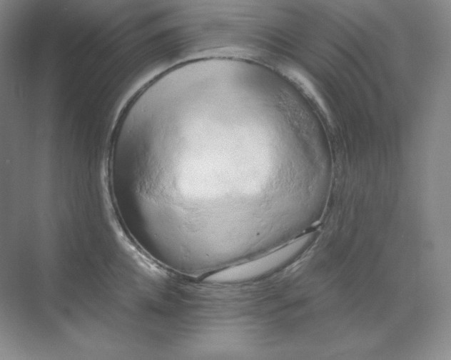 X0000071920952200607212104
