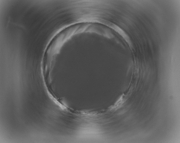 X0000071920958200607212105