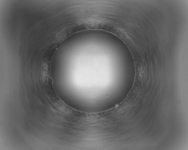 X0000071920964200607212104