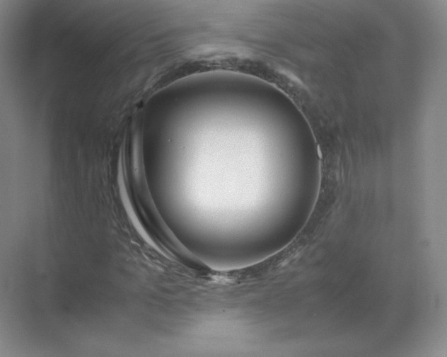 X0000071920965200607212104