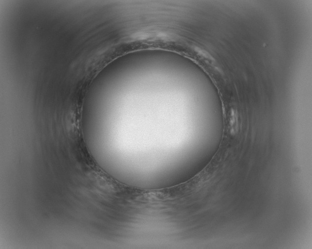 X0000071920966200607212104