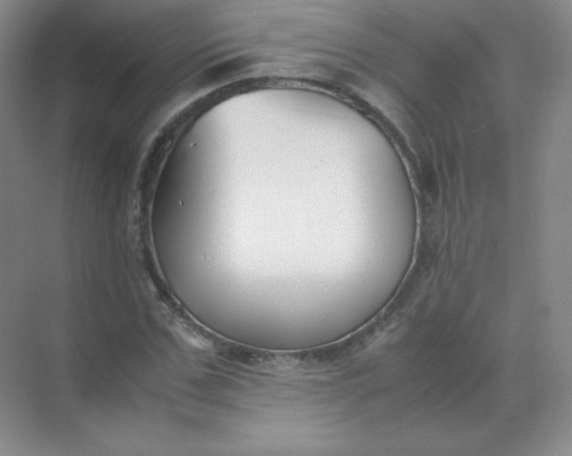 X0000071920971200607212104