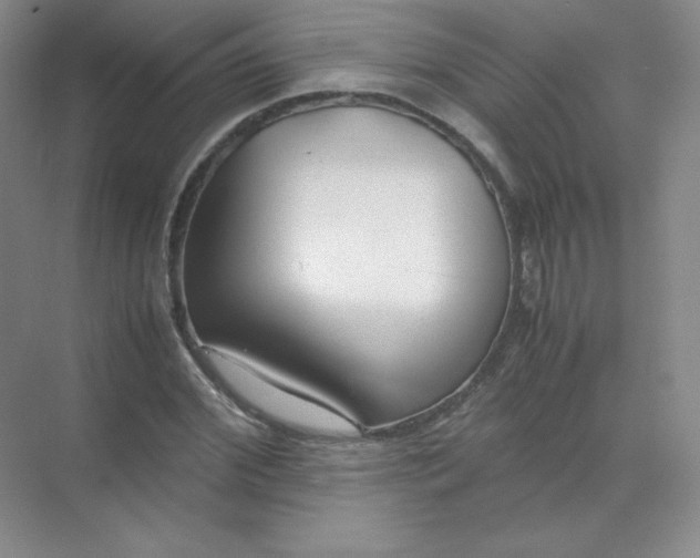 X0000071920972200607212104