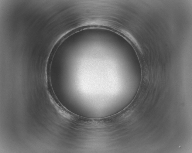 X0000071920980200607212103