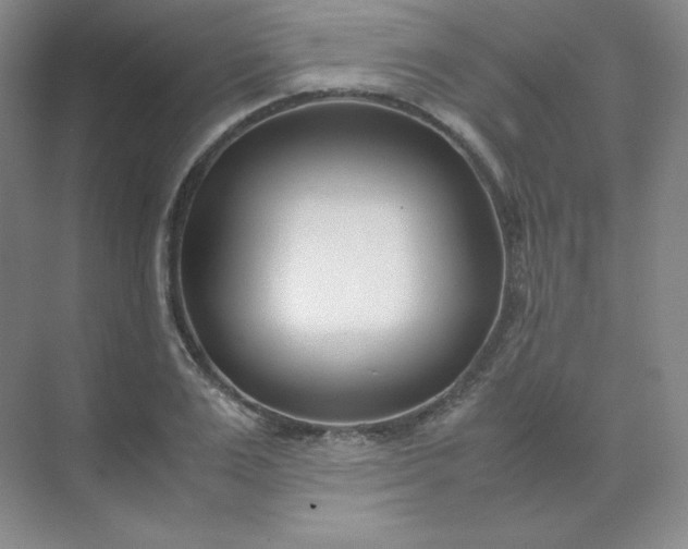X0000071920983200607212103