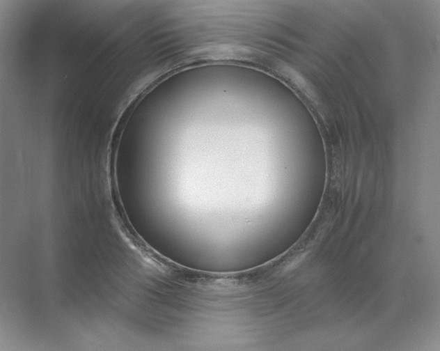 X0000071920986200607212103