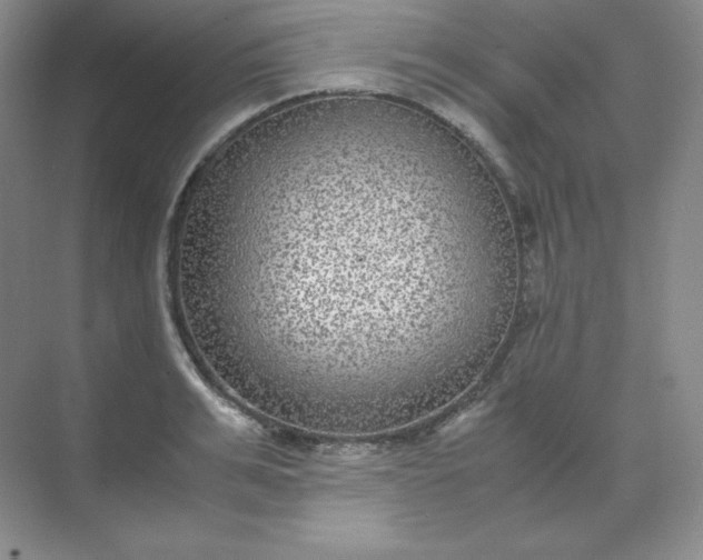 X0000071920991200607212103