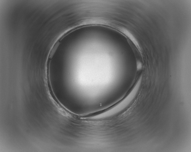 X0000071920996200607212103