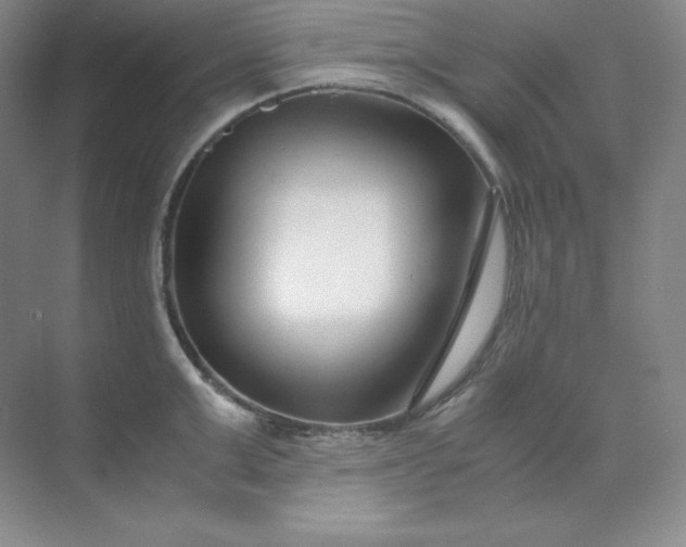 X0000071920999200607212103