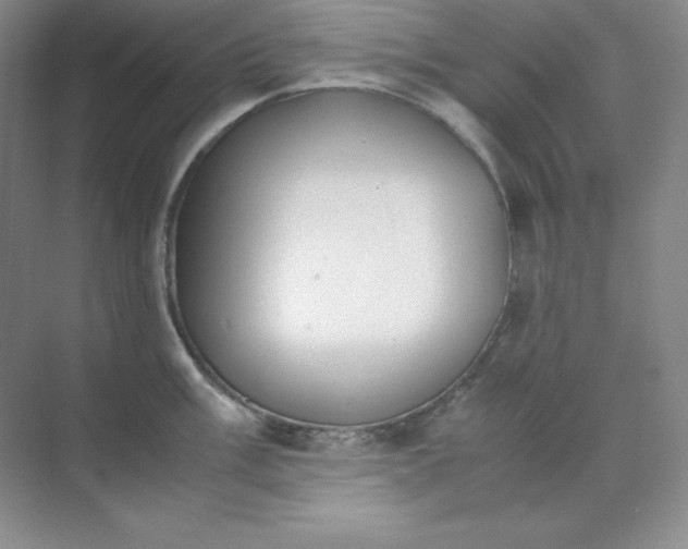 X0000071921003200607212103