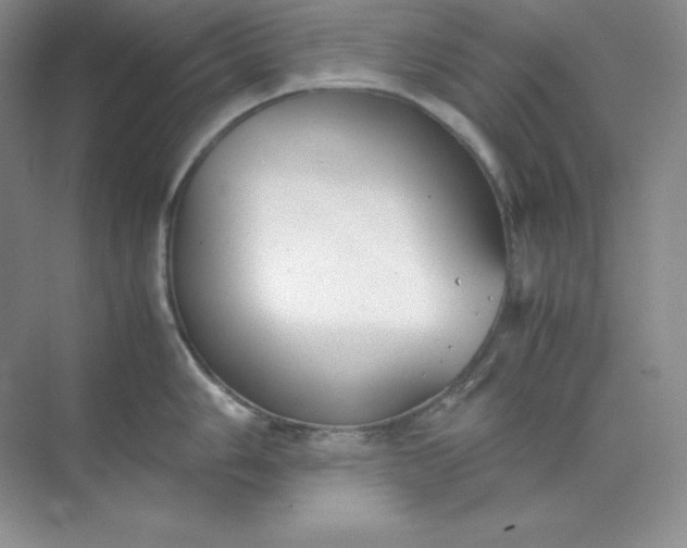 X0000071921006200607212103