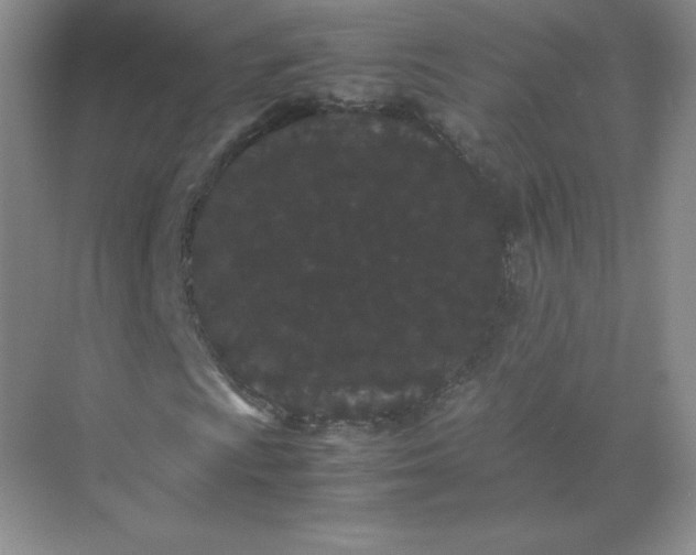 X0000071921009200607212102
