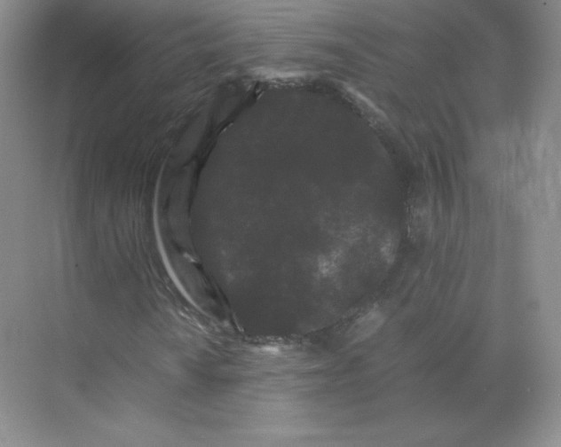 X0000071921010200607212102