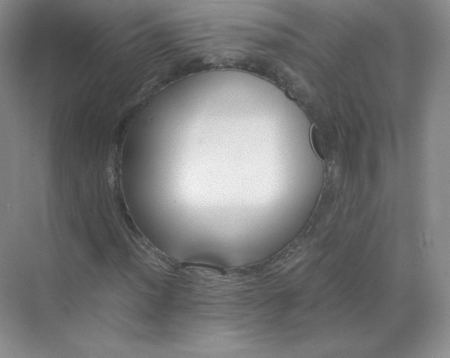 X0000071921012200607212102