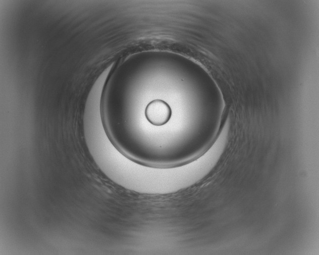 X0000071921014200607212102