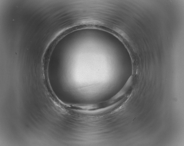 X0000071921022200607212102