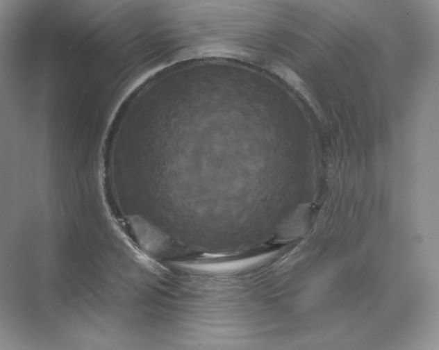 X0000071921024200607212102