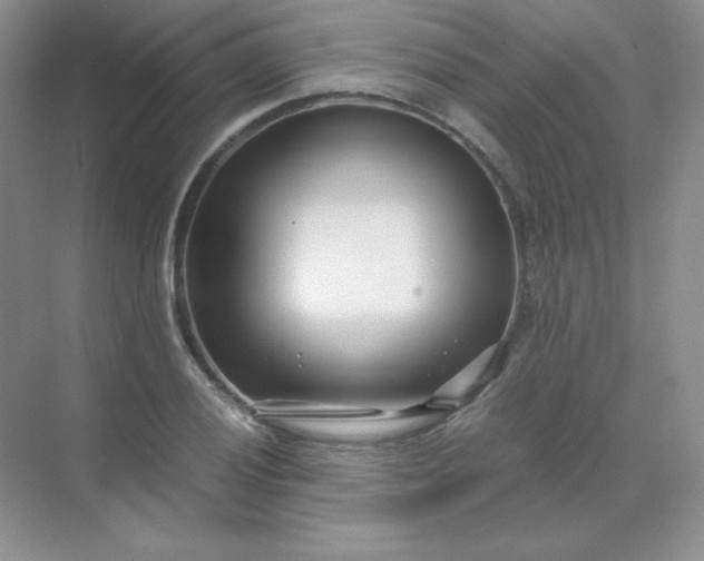 X0000071921028200607212103