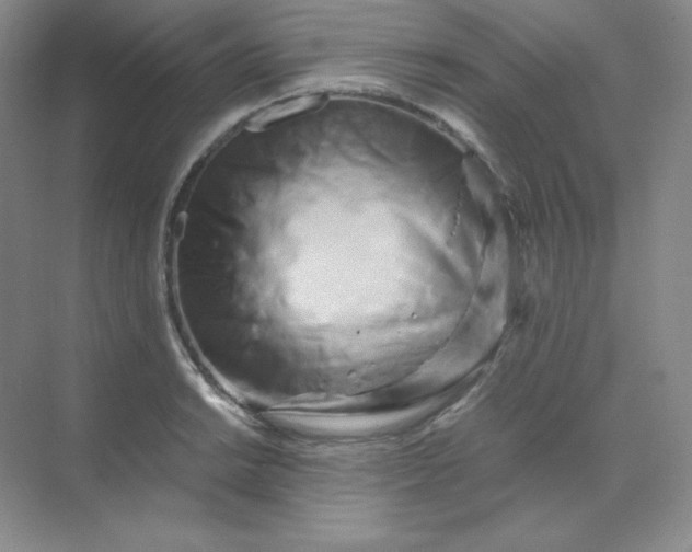 X0000071921038200607212103