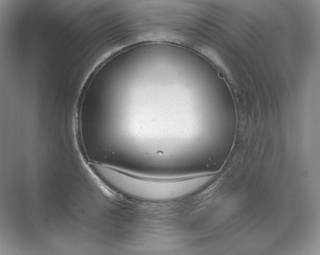 X0000071921040200607212103