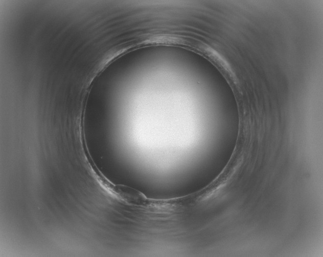 X0000071921041200607212103